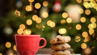 How to Capture Gorgeous Holiday Food Photos (10 Tips)