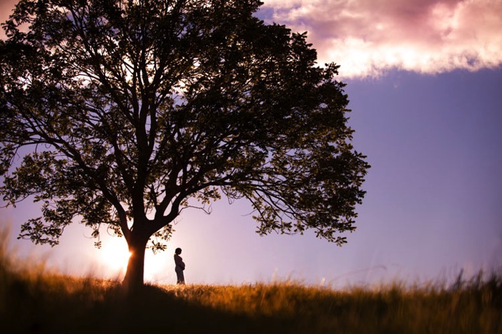 perfect portrait silhouette photography woman by a tree