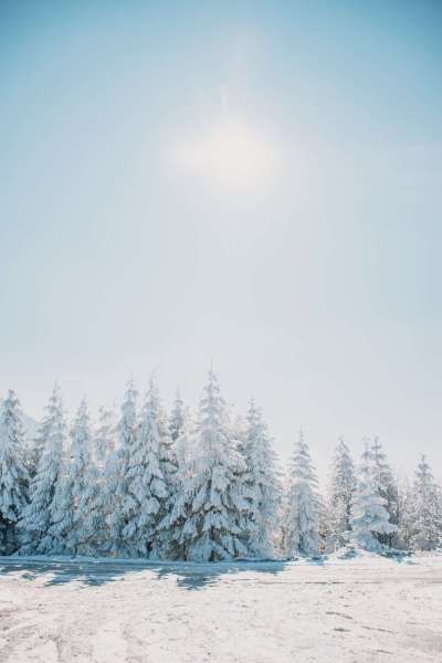 snowy white scene