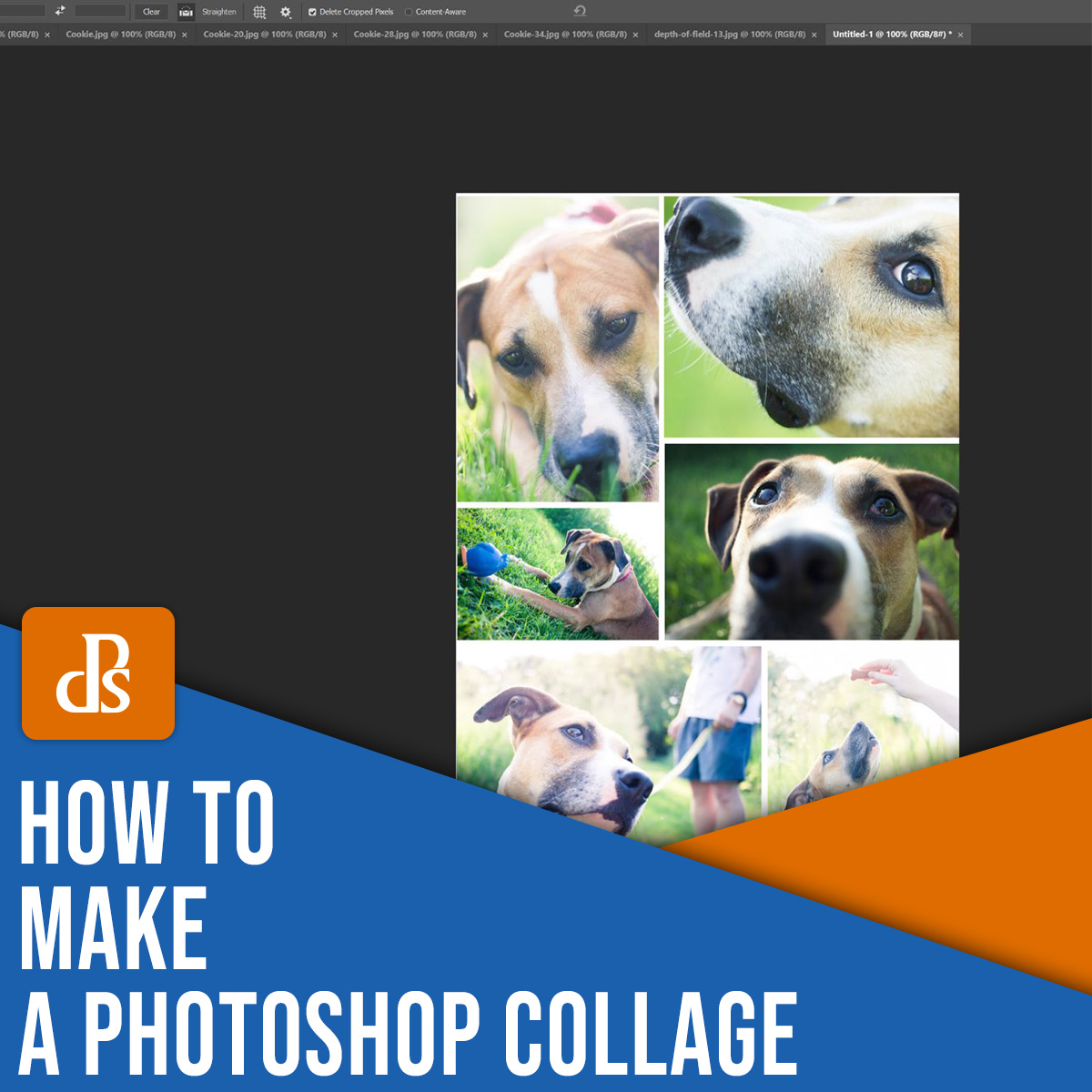 how to make a Photoshop collage