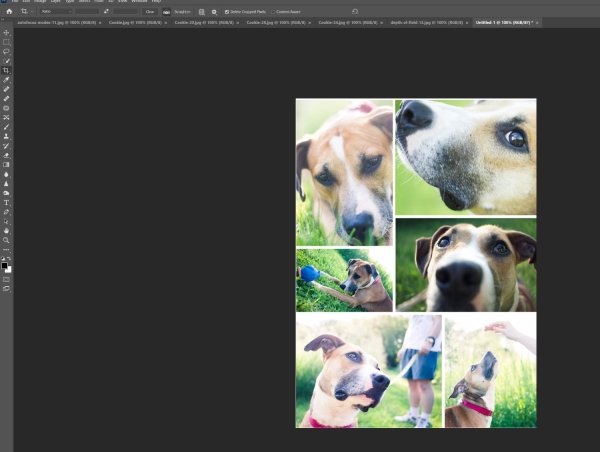 How to Make a Collage in Photoshop (9 Easy Steps!)