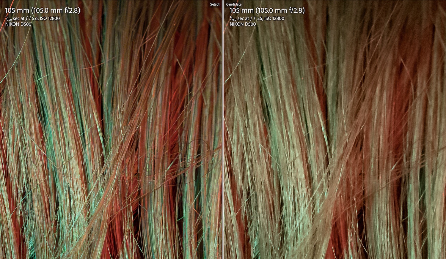 Lightroom's AI-Powered Denoise Feature: close-up showing the details in a child's haircut.