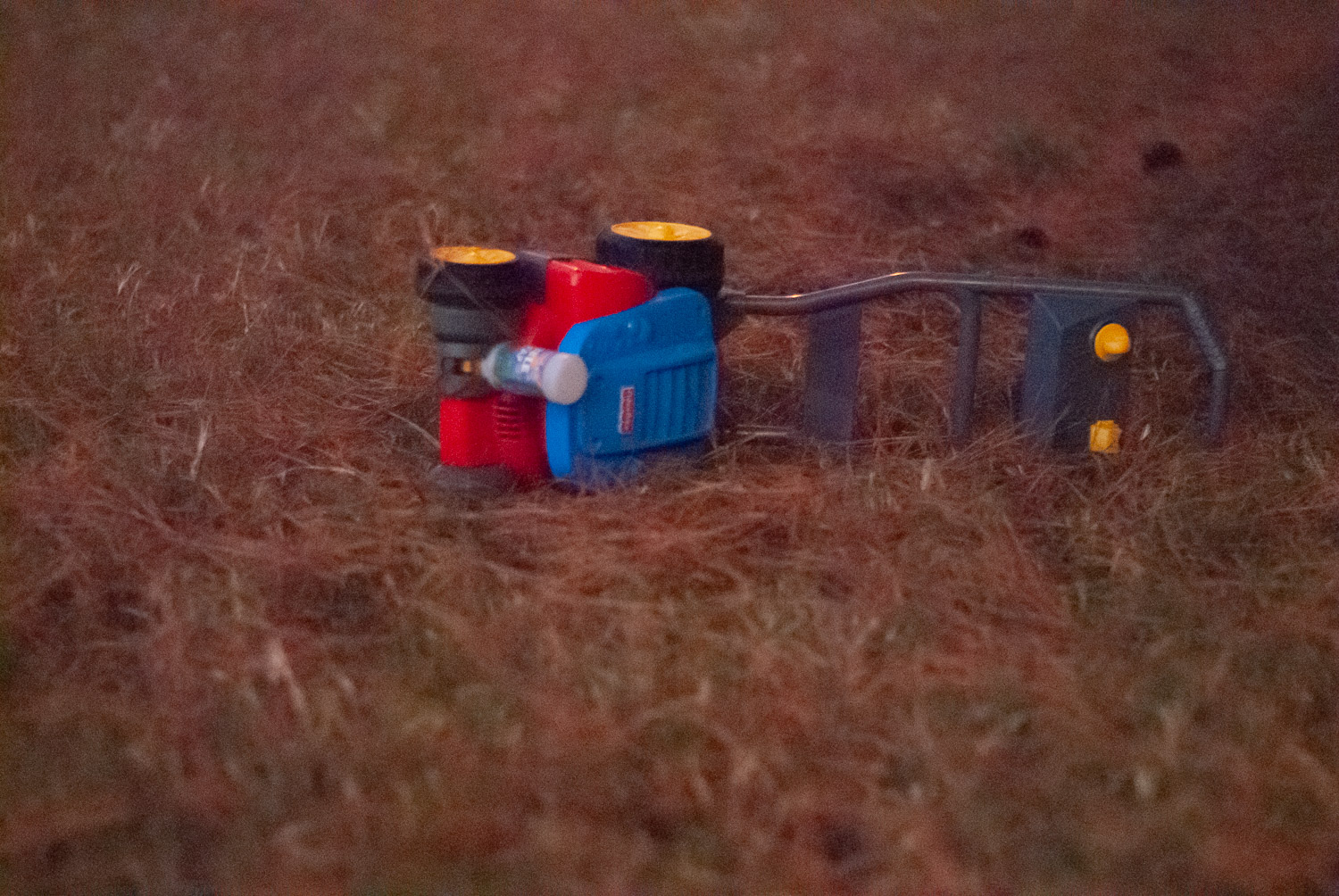 Lightroom's AI-Powered Denoise Feature: toy lawnmower on a bed of pine needles.