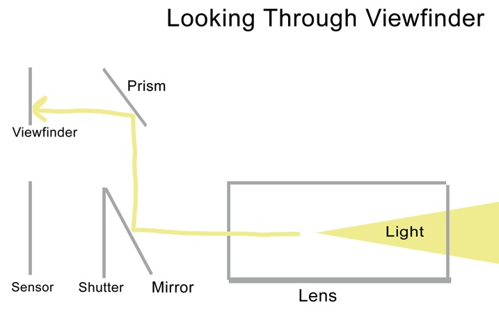 Looking viewfinder - The dPS Absolute Beginner’s Guide to Photography
