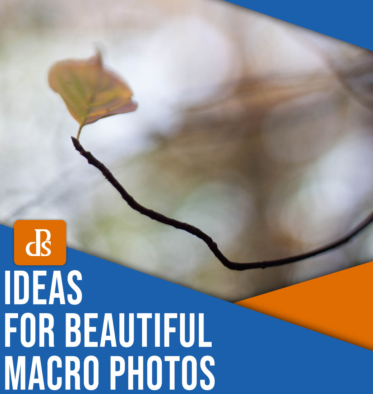 Ideas for beautiful macro photos