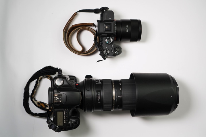 Mirrorless versus dslr - The dPS Absolute Beginner’s Guide to Photography
