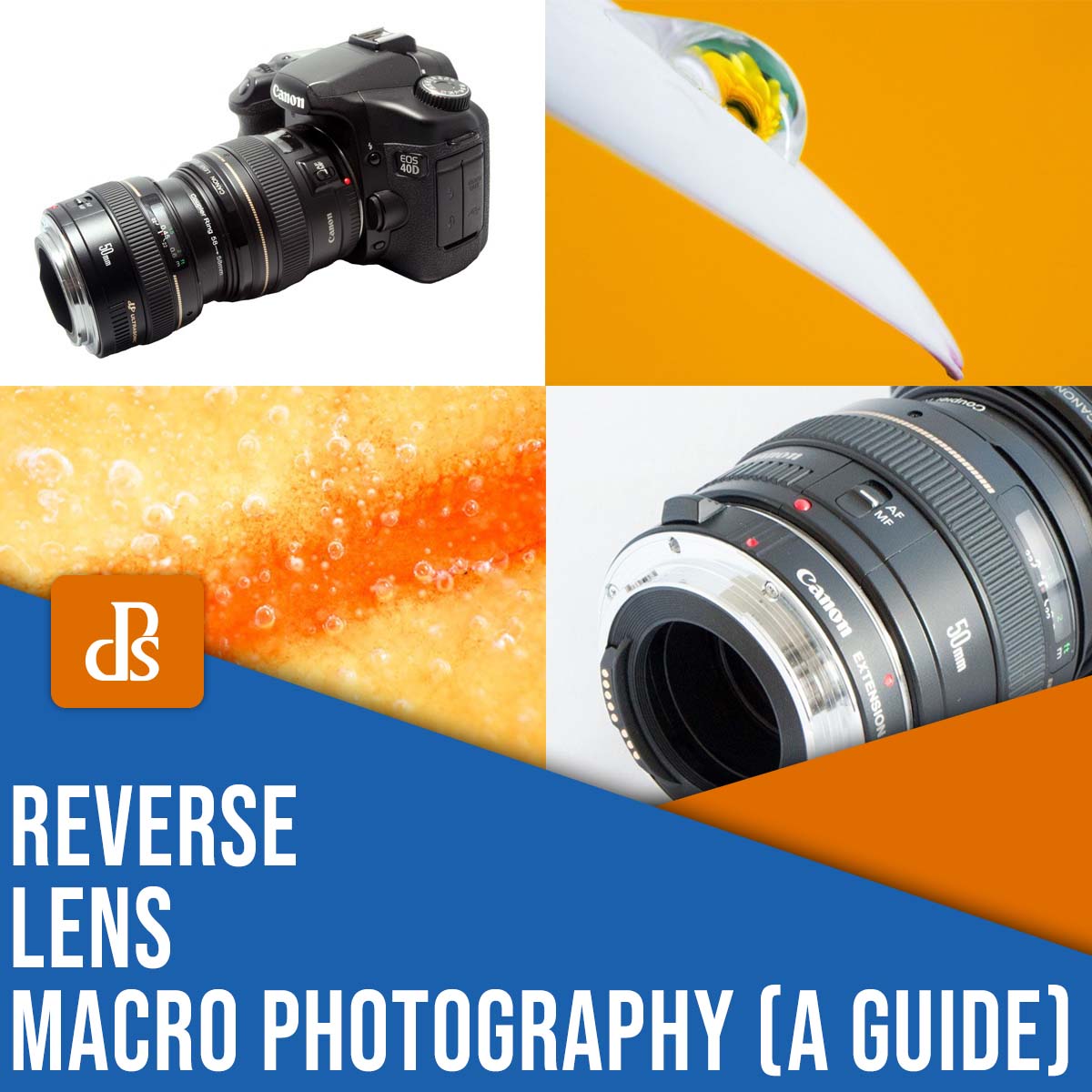 reverse lens macro photography: a guide