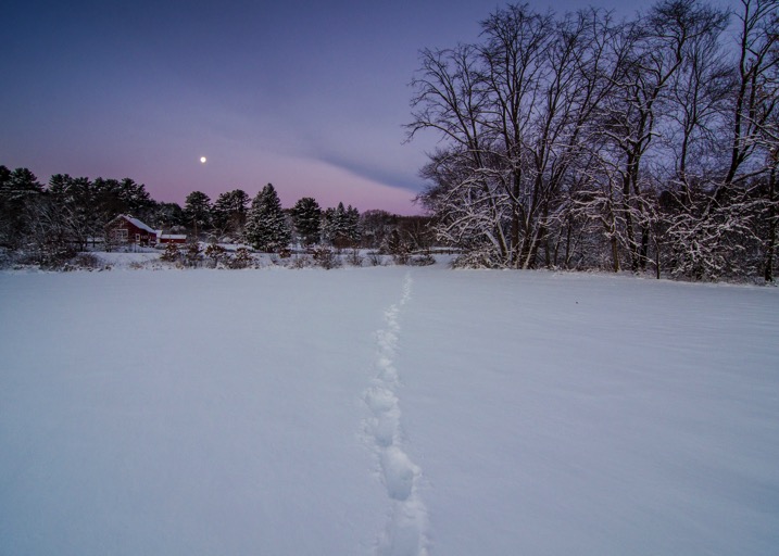 Snow leading lines - The dPS Absolute Beginner’s Guide to Photography