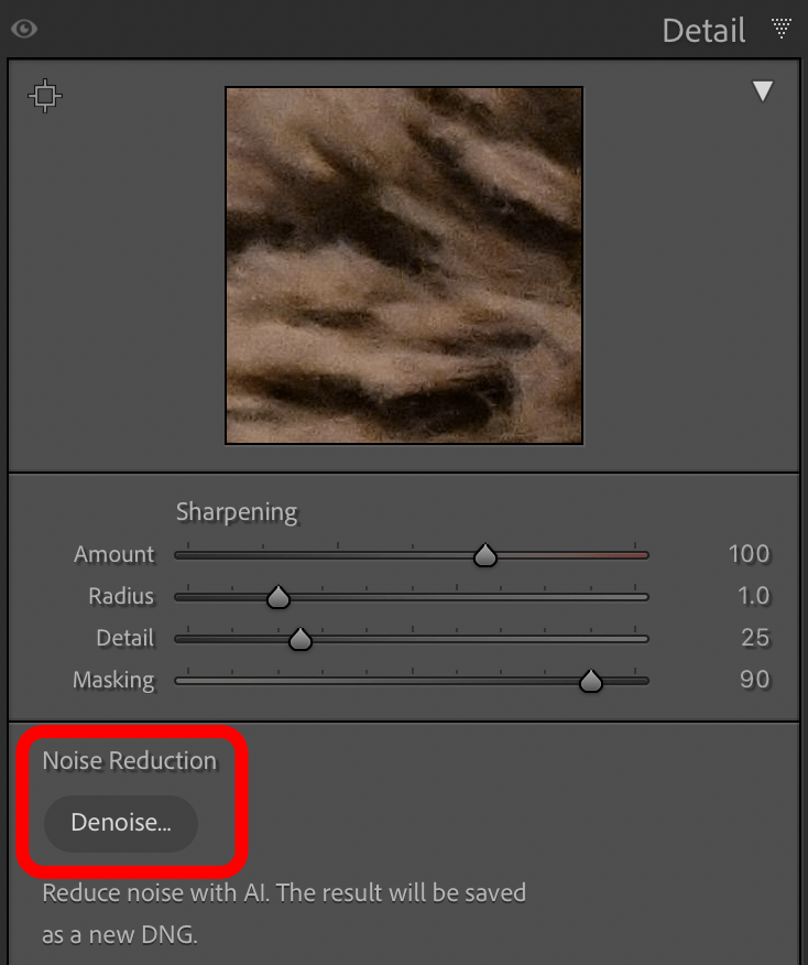 Lightroom's AI-Powered Denoise Feature: Denoise button in Lightroom