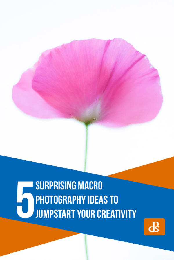 14 Macro Photography Ideas to Get You Inspired